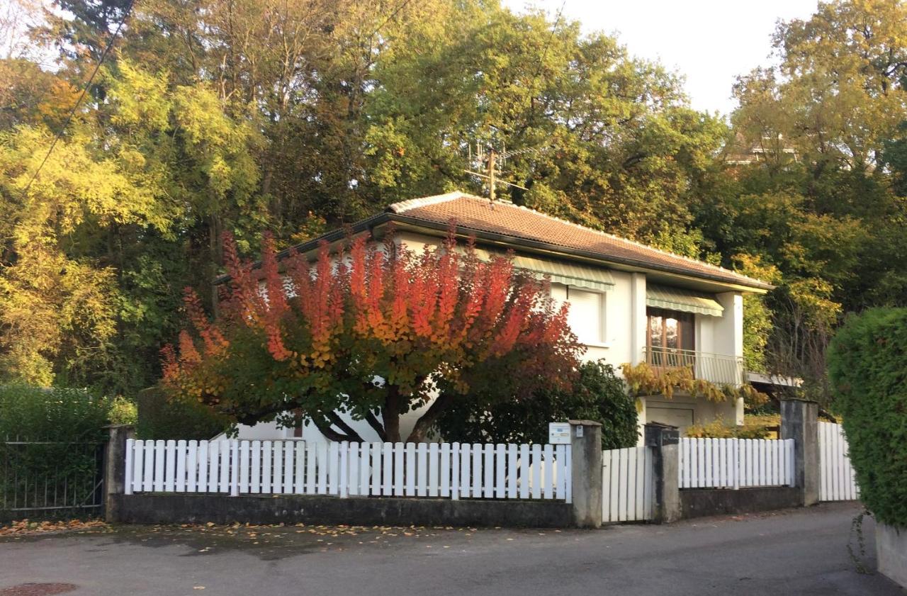 Villa La Moraine Thonon-les-Bains Exterior photo